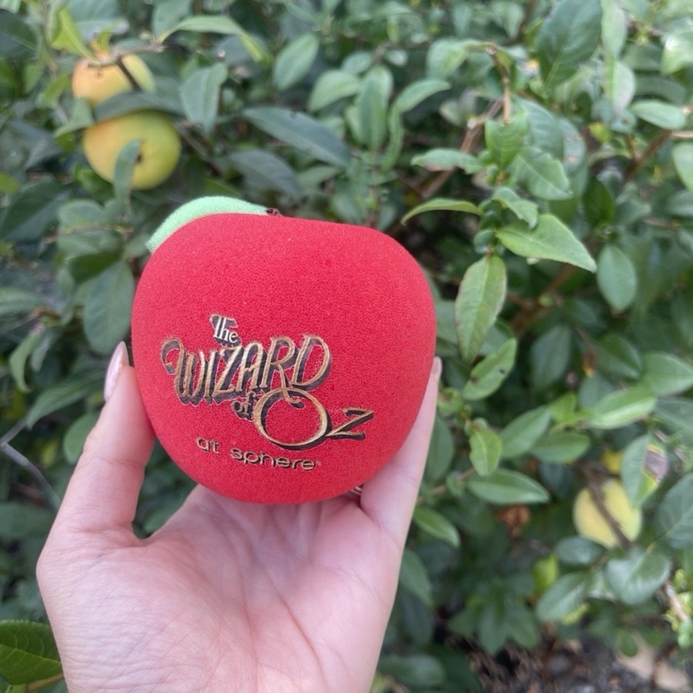 Red Bath Sponge